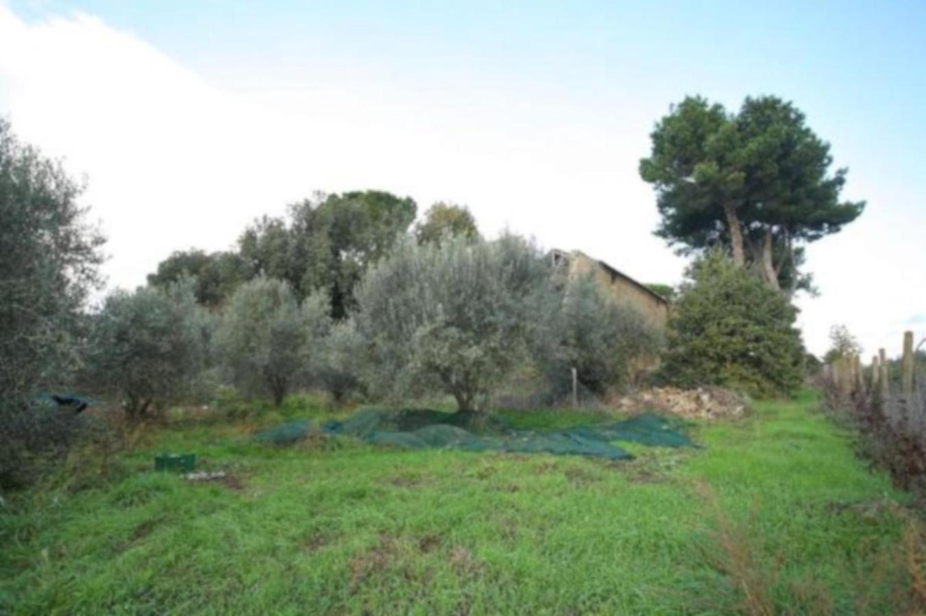 Aparthotel Antico Borgo La Commenda Montefiascone Exteriér fotografie